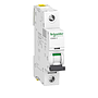 BREAKER 1X6 AMP P/RIEL 6KA DOMA 17044 SCHNEIDER RETAIL